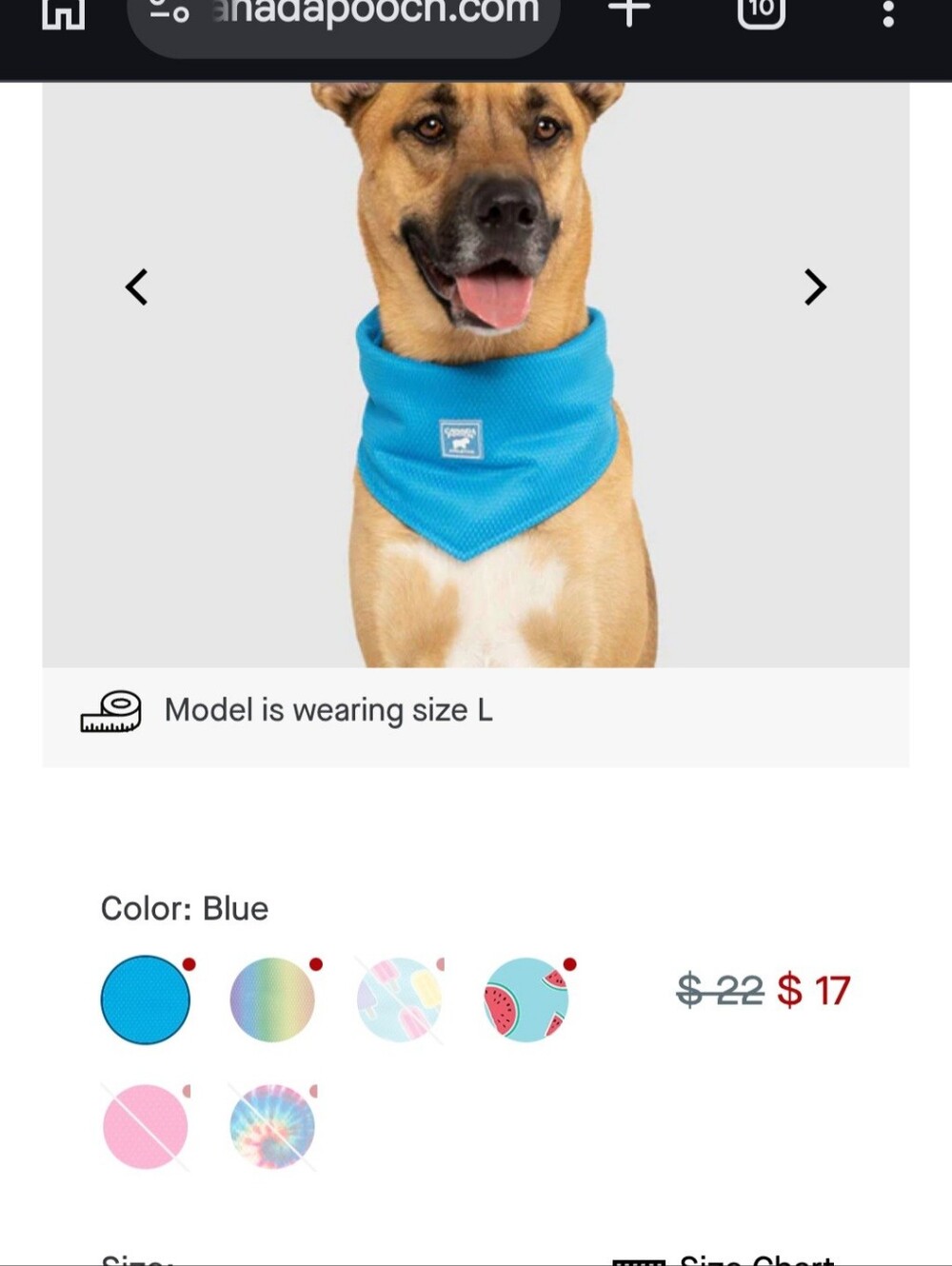 🎁 CANADA POOCH Dog cooling bandana - Picture 8 of 11